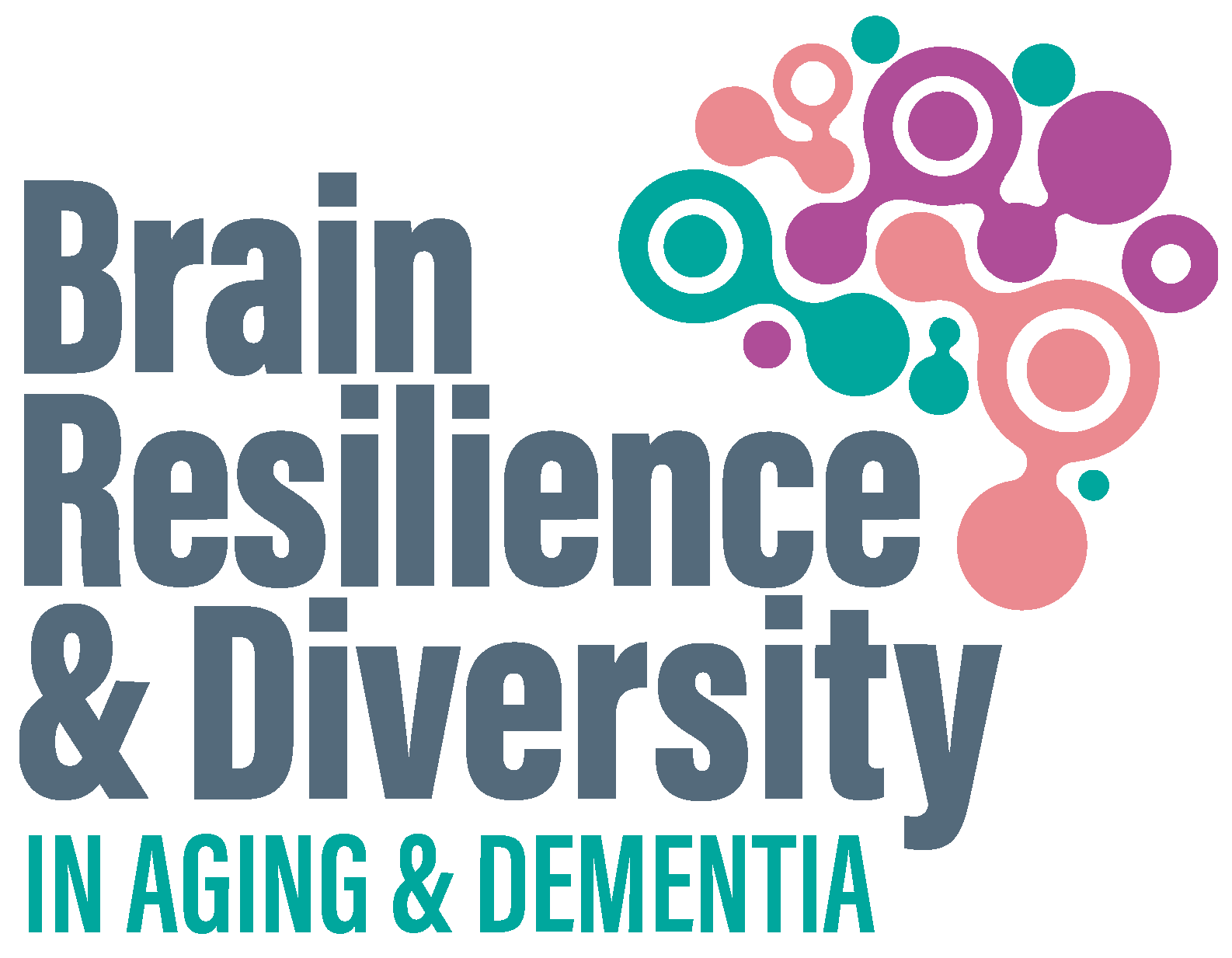 Brain Resilience and Diversity in Aging and Dementia Logo